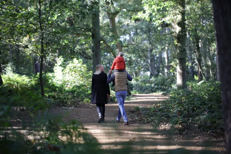 Family in the woods