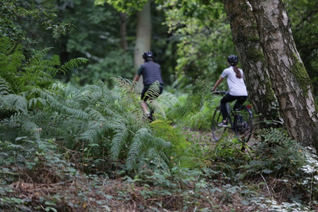 Bike rides through The Grove, Luxury country breaks near London, country resort