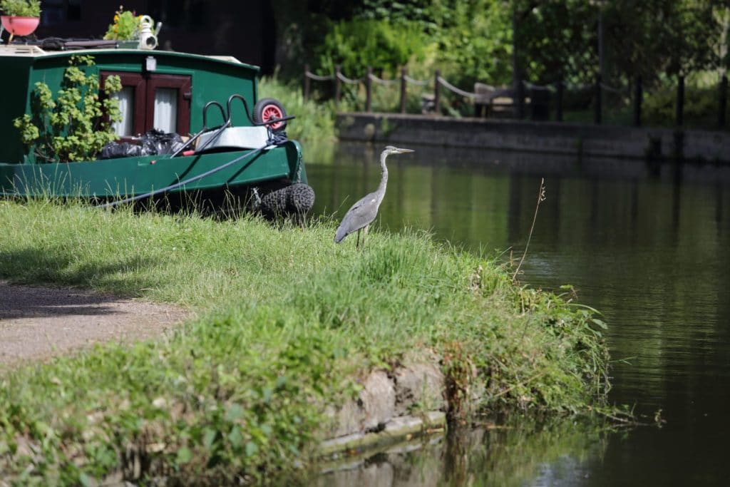 views over the canal, exploring the ground and surrounding areas of The Grove