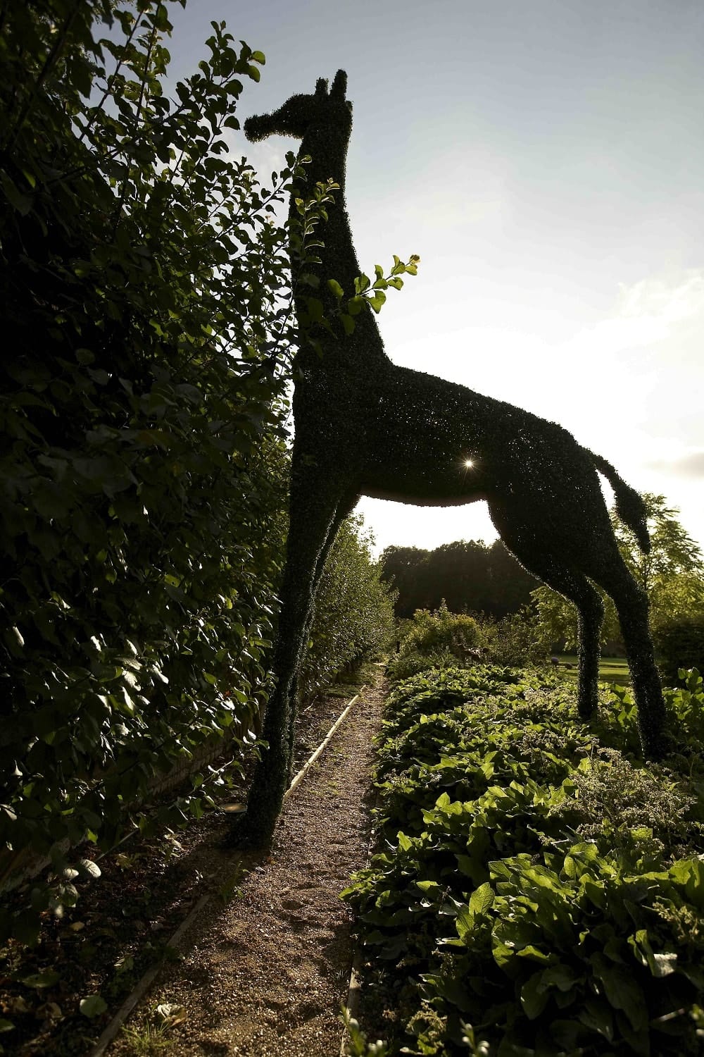 Giraffe feature at The Grove hotel, Hertfordshire