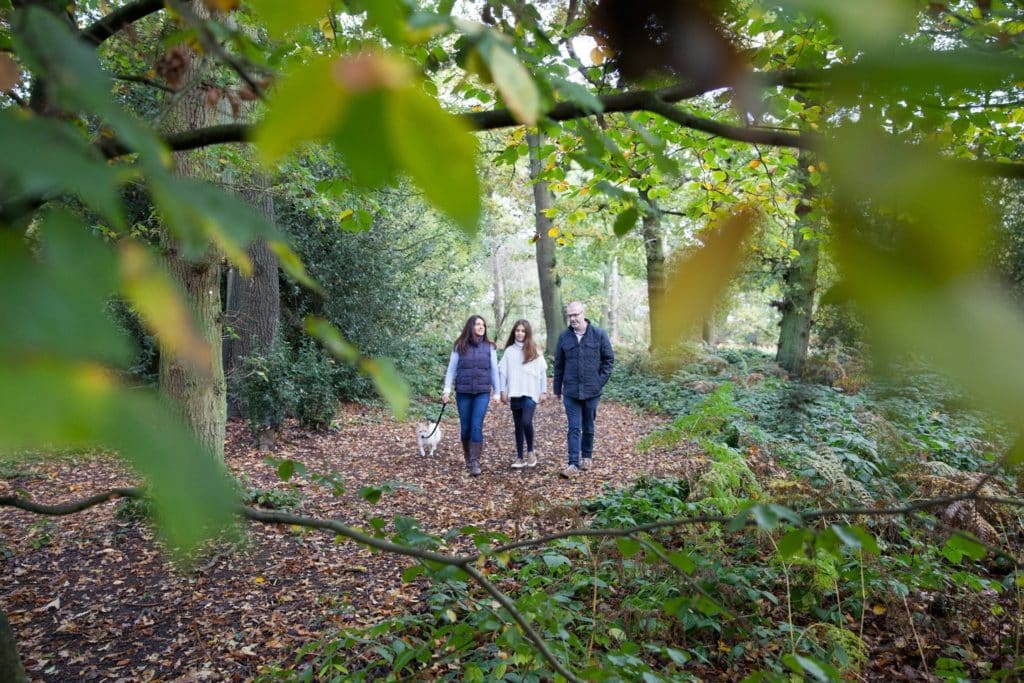 October half term, family woodland walk at The Grove