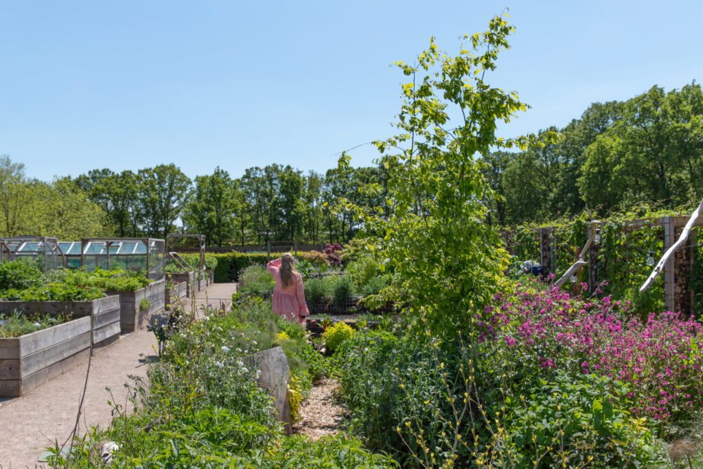 Walled garden at The Grove