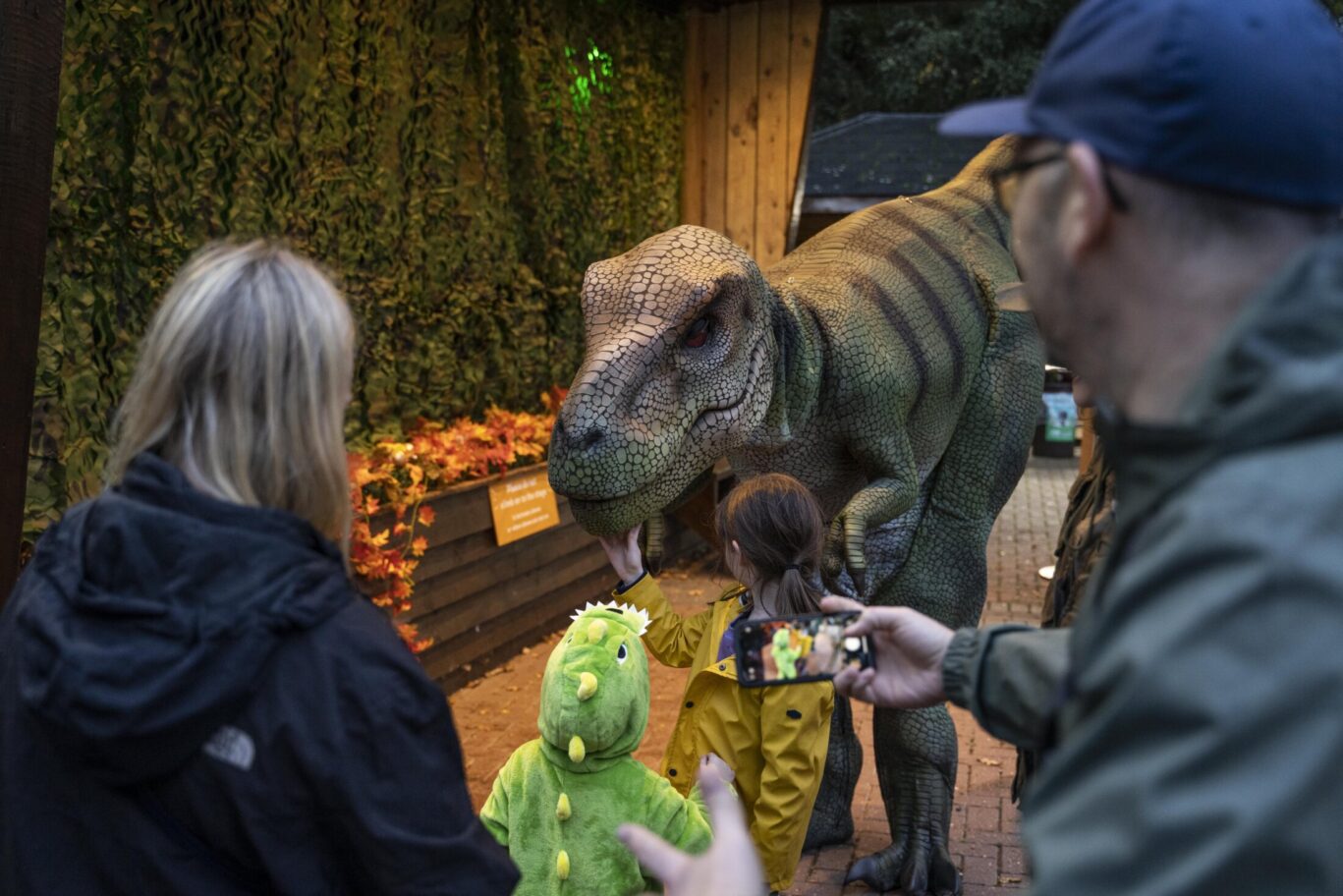 Dino Meet and Greet at Paradise Wildlife Park