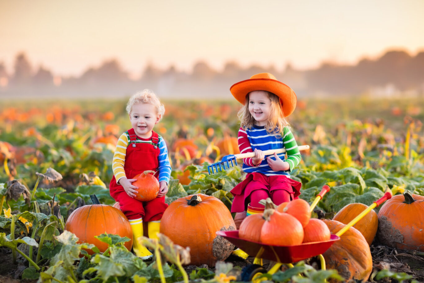 Children at a pumpkin patch