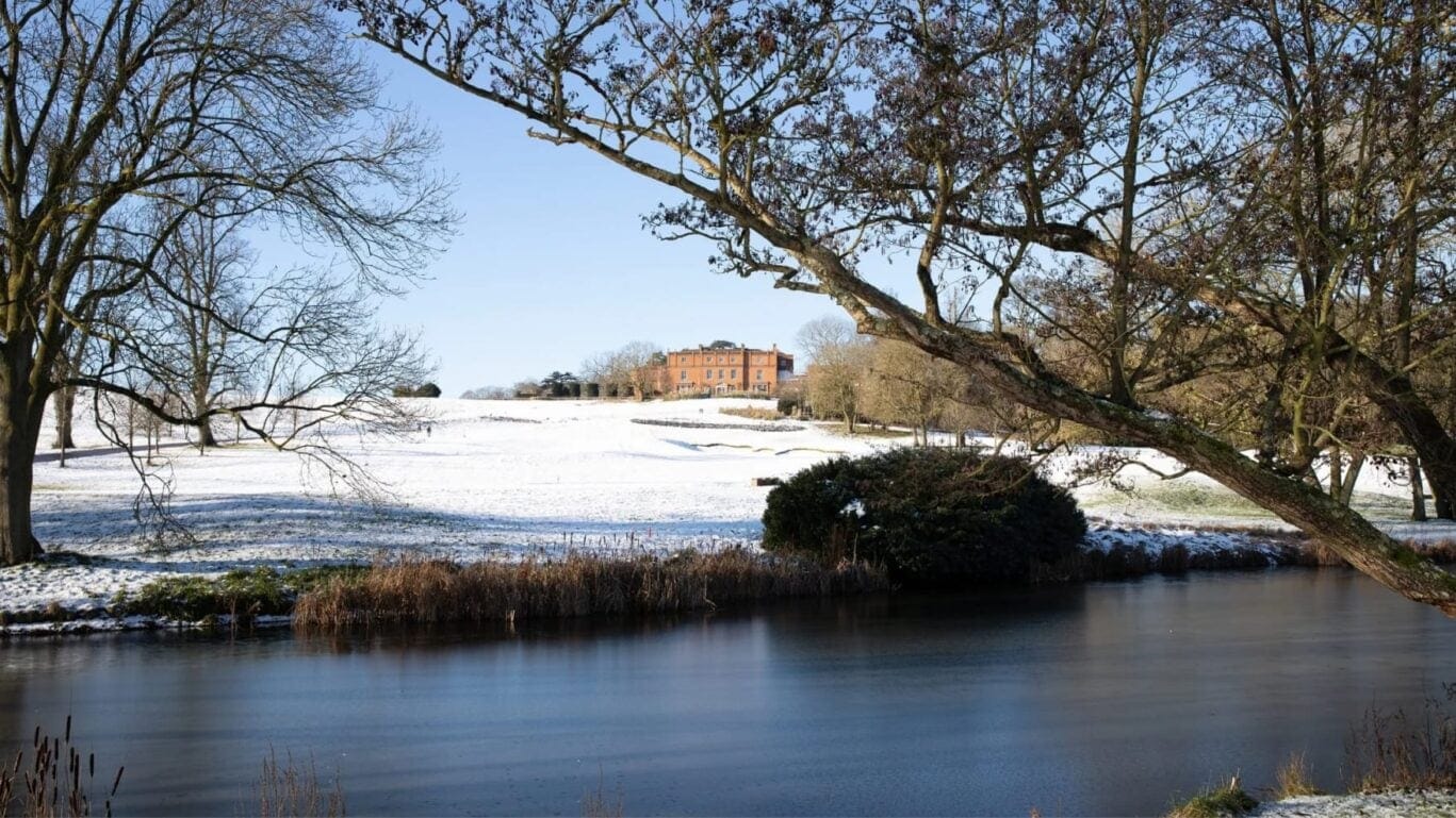 The Grove at wintertime
