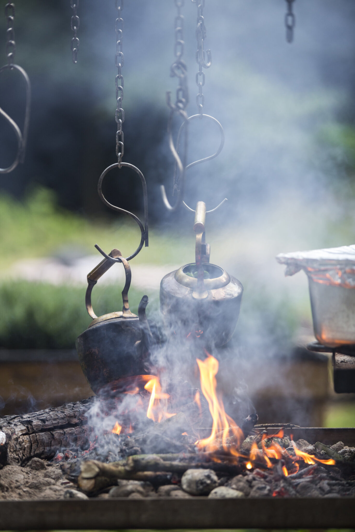 Nomadic Feast and Foraging Fire