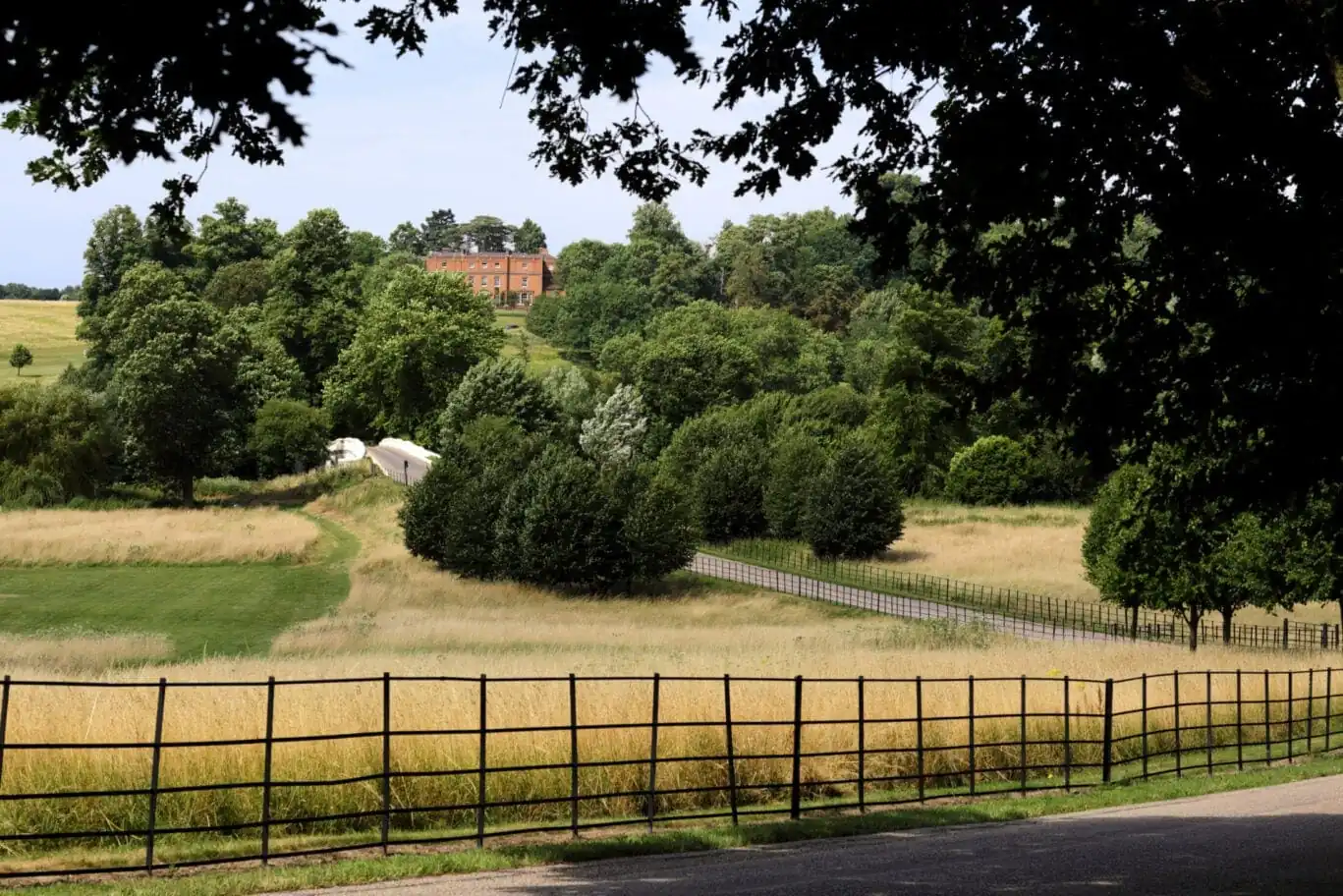 The Grove from a distance