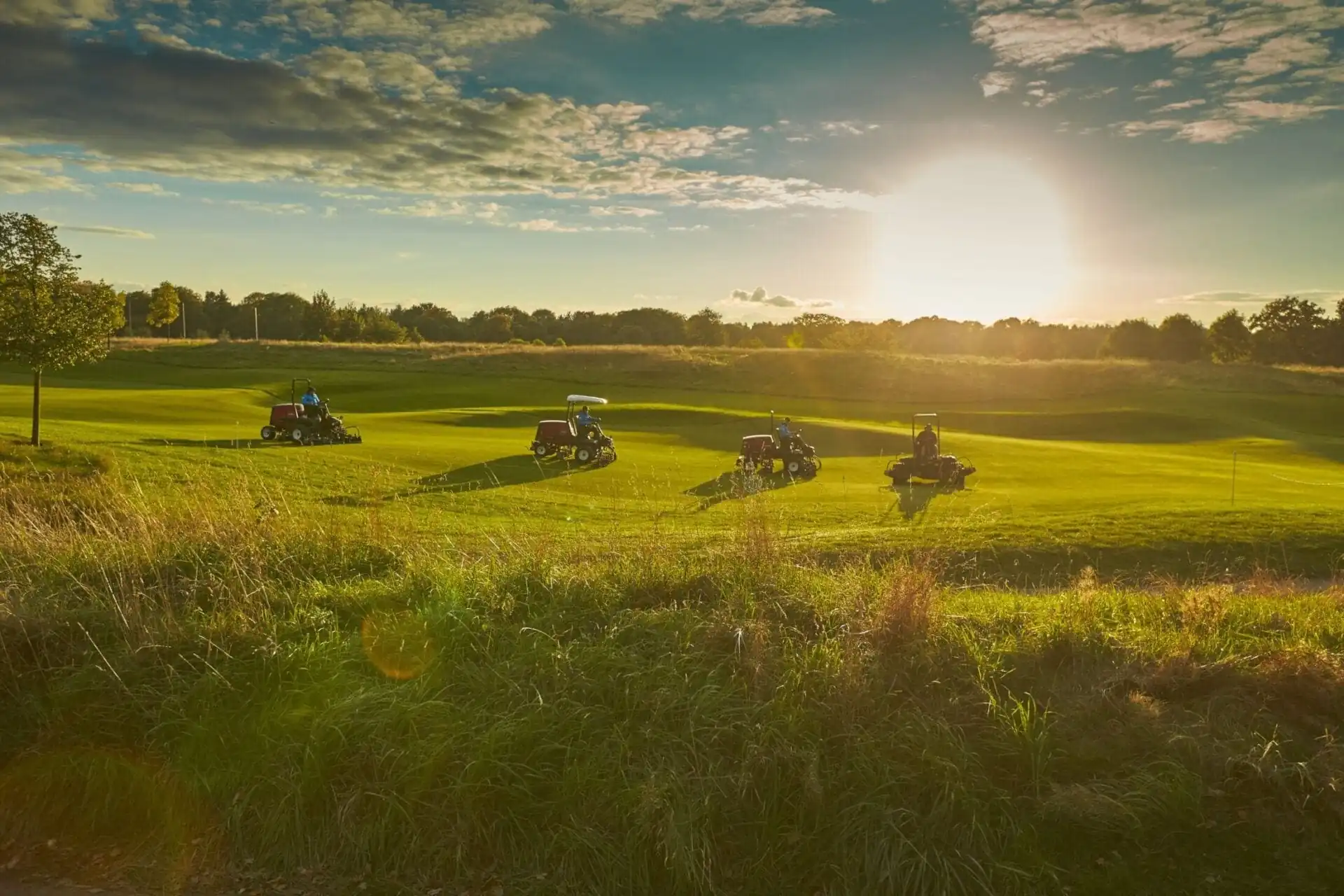 maintaining the golfing green