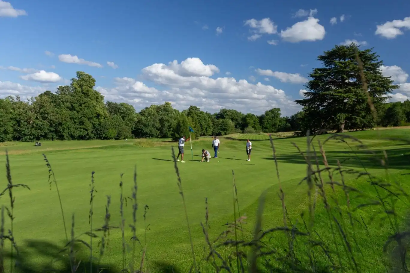 group playing golf