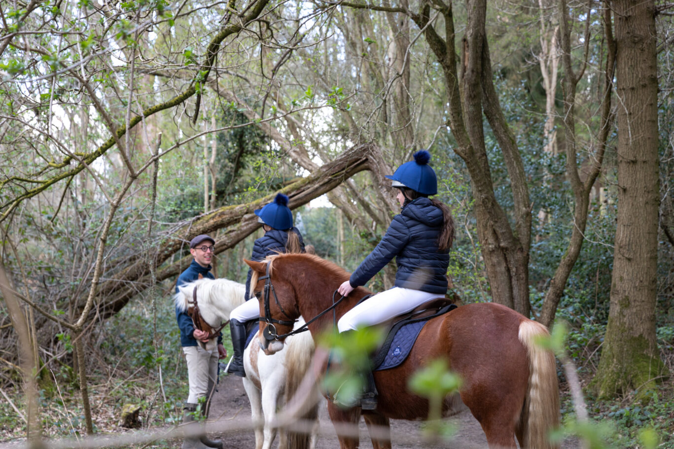 Horse Riding