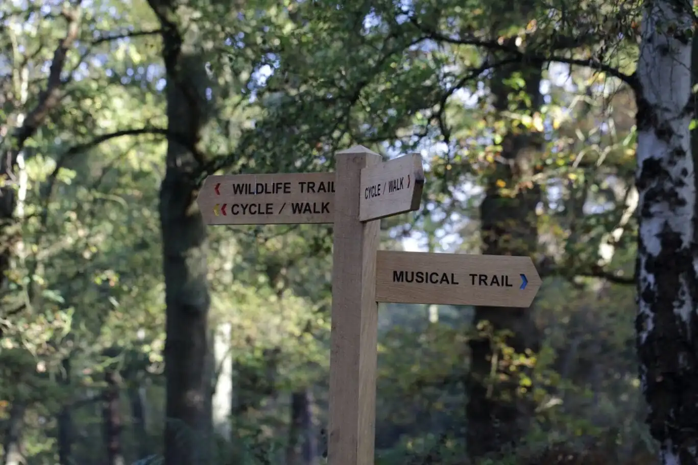 2. Secondary Woodland Trails Signs