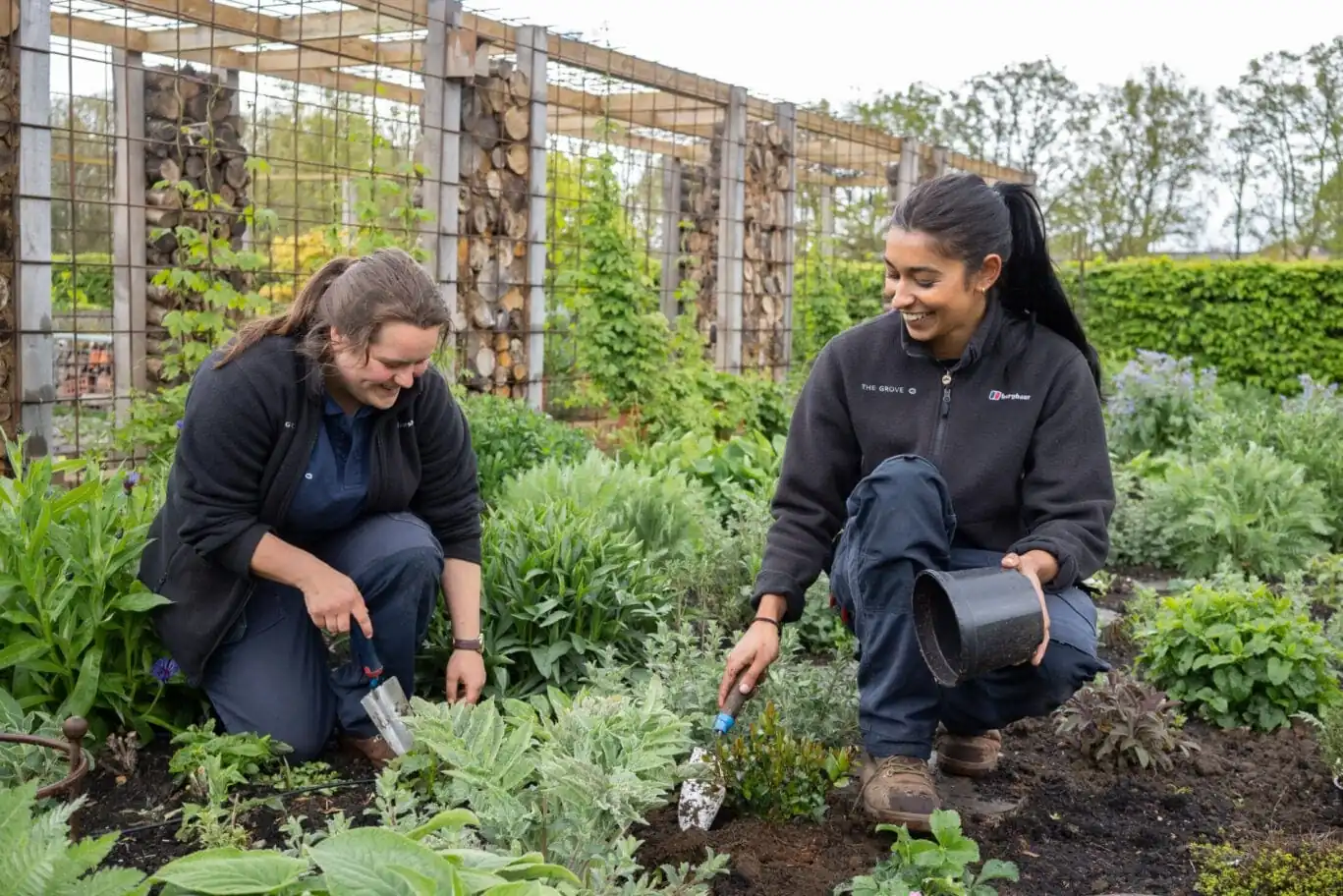 locally grown herbs at The Grove