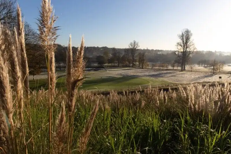 golf course in the autumn