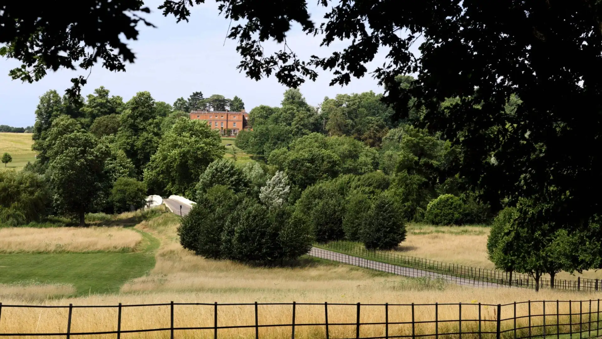 The Grove from a distance