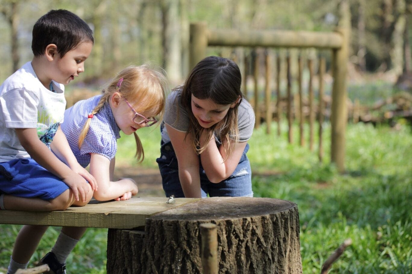 children in the woods