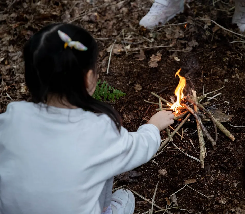 Forest Camps Den Building