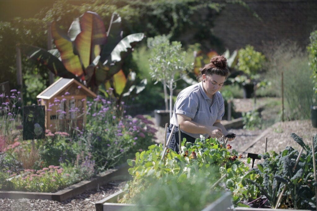 working in the garden