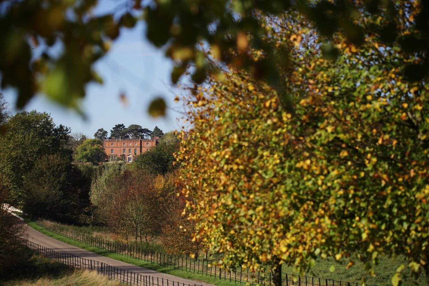 mansion in the background. the grove from far