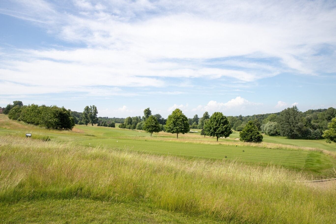 golf course at the grove