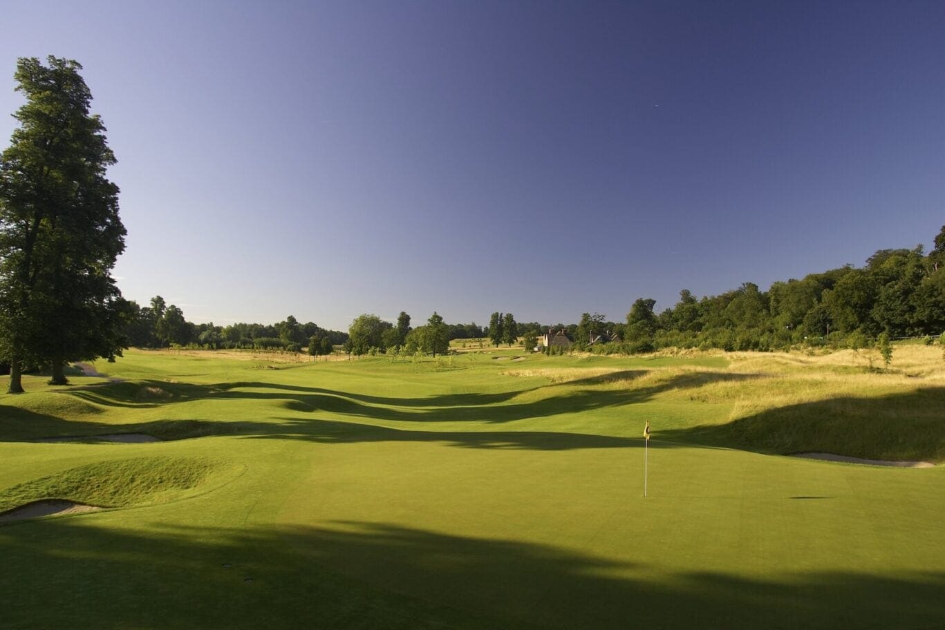 The Grove Ladies Open