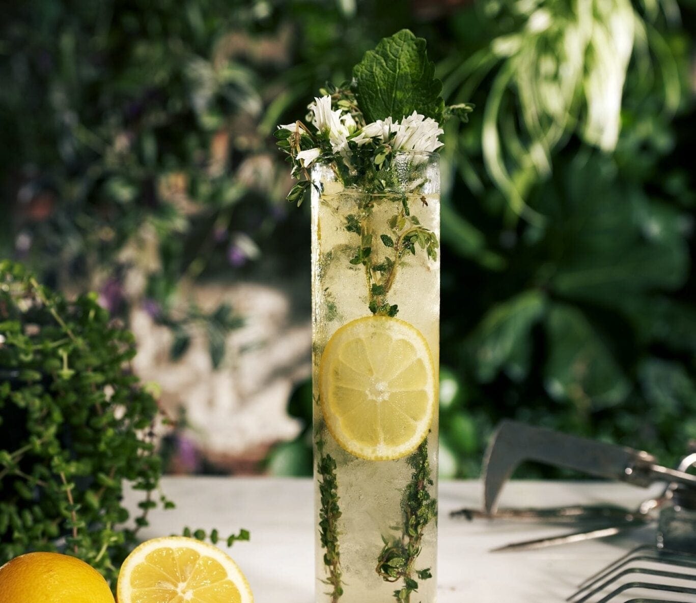 Elderflower drink