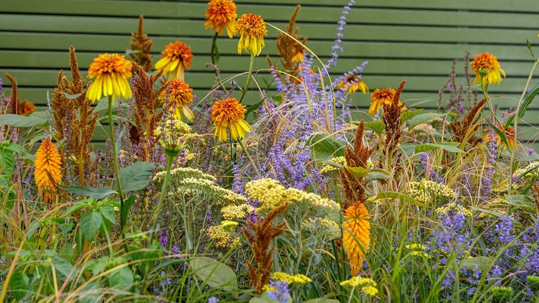 flowers