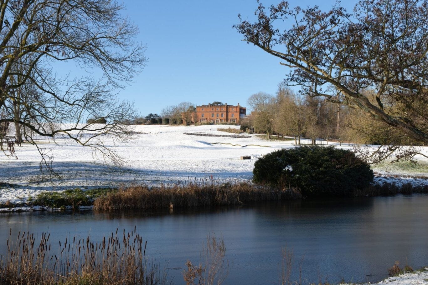 snowy fields at The Grove