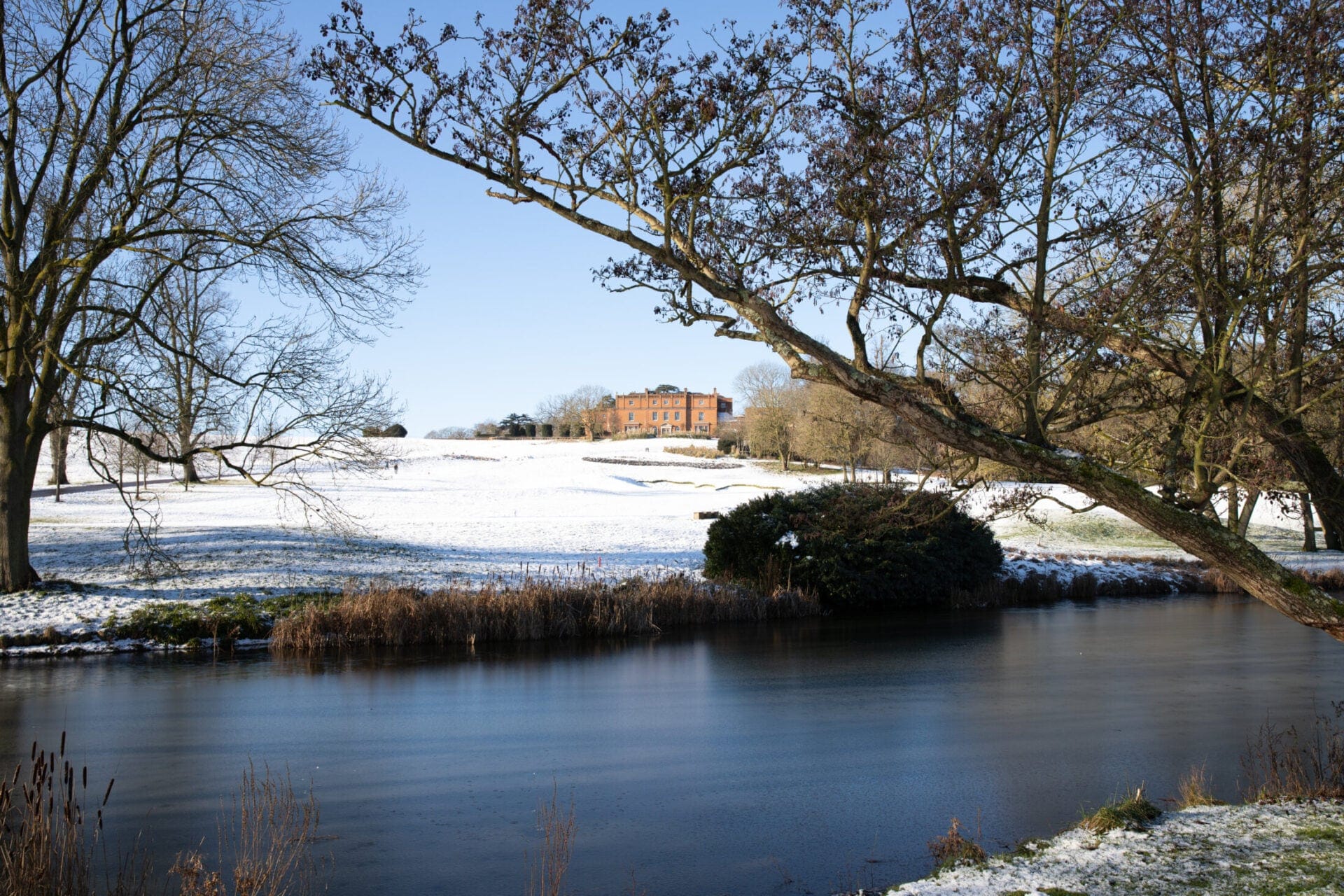 Snow – Jan 2021-9