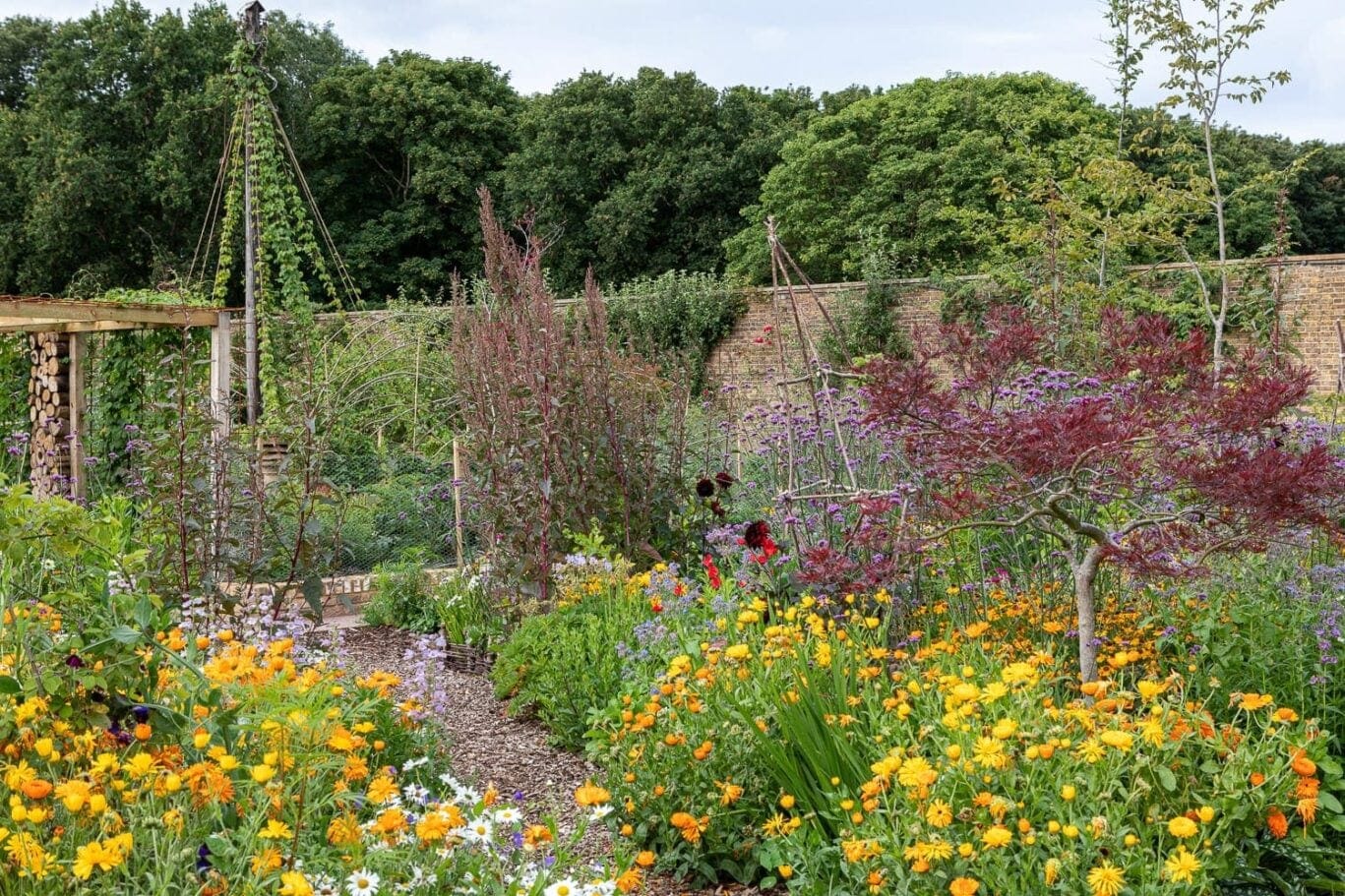 Flowers in the walled garden at the grove hotel