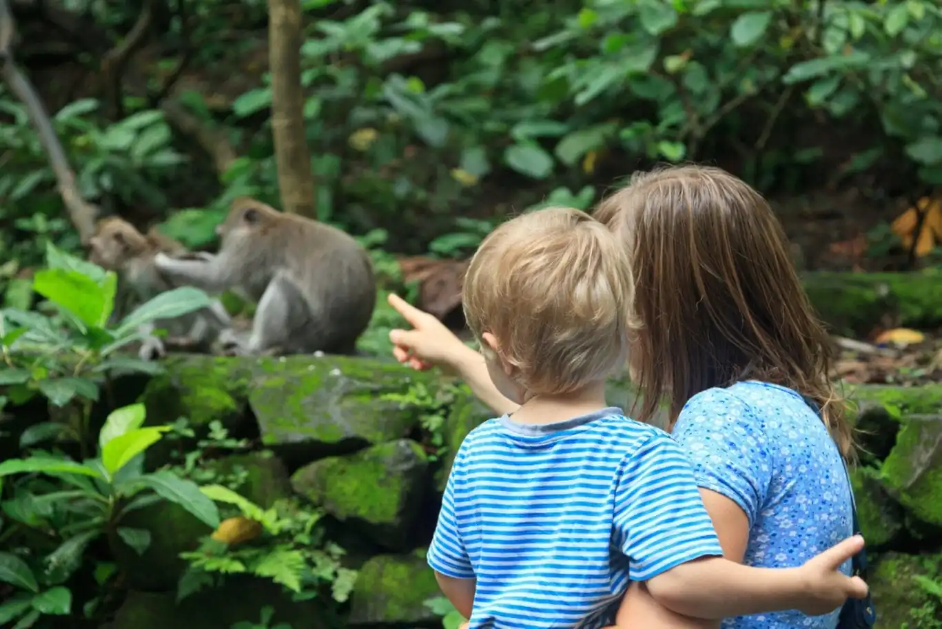 Family,Looking,At,Wild,Monkey,In,Nature