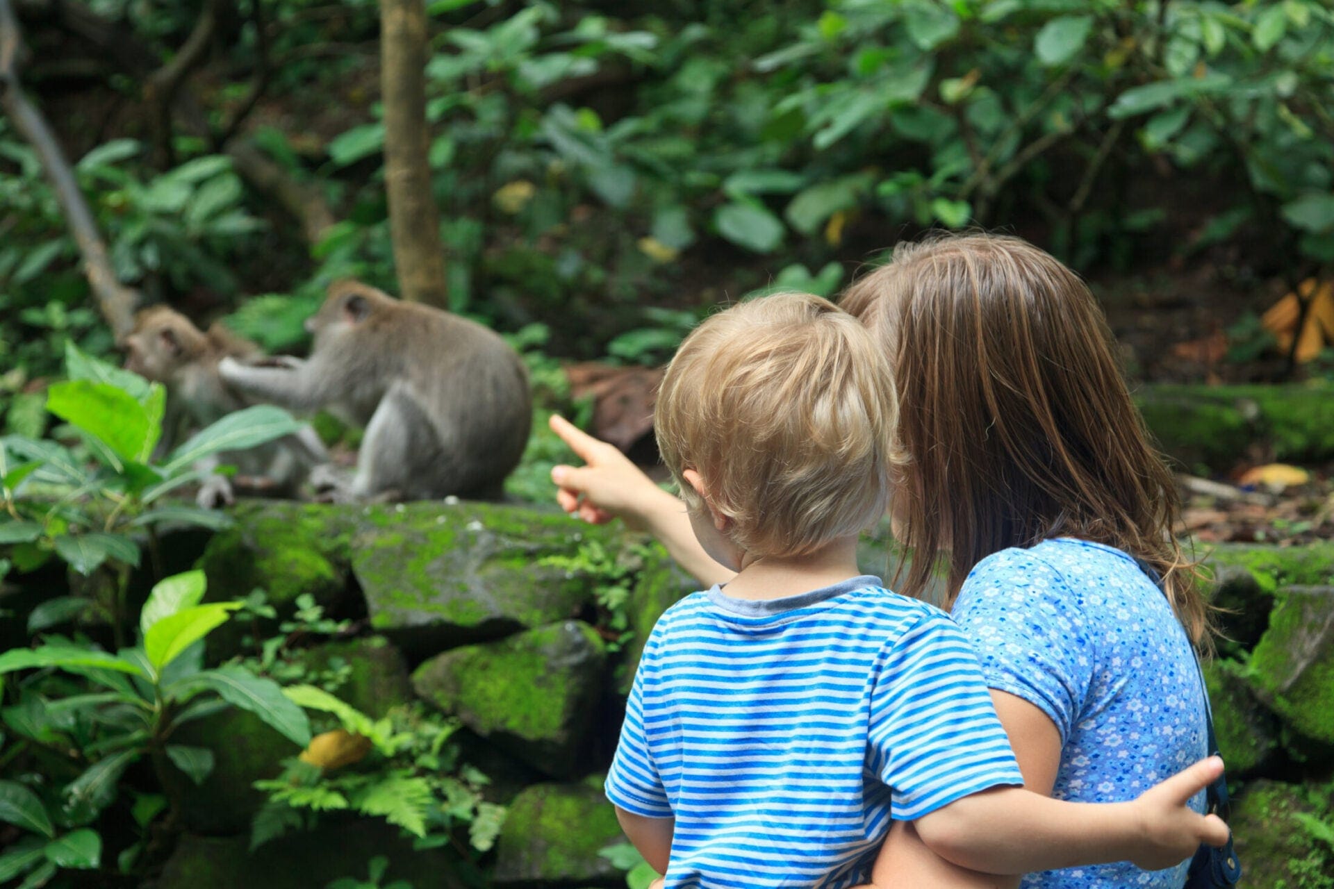 Family,Looking,At,Wild,Monkey,In,Nature