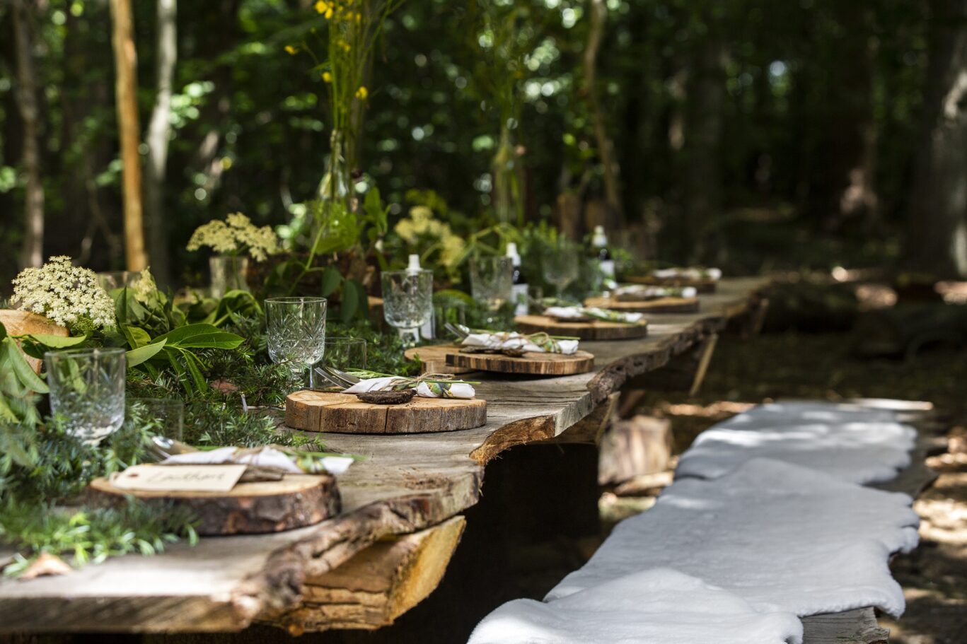 Outdoor dining in the forest