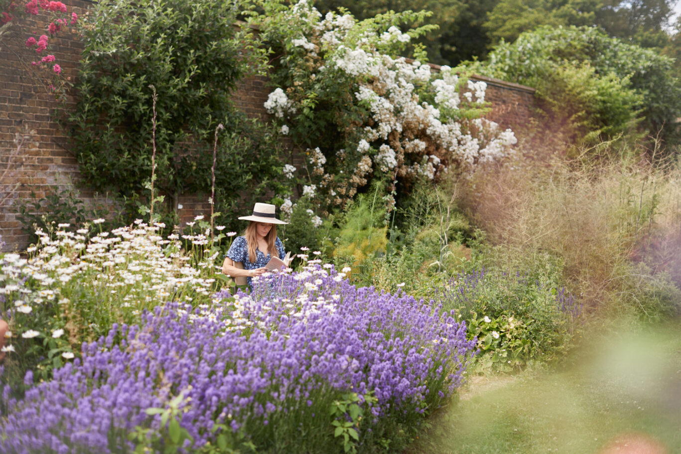 Lady reading surrounded by flowers in the walled garden at The Grove