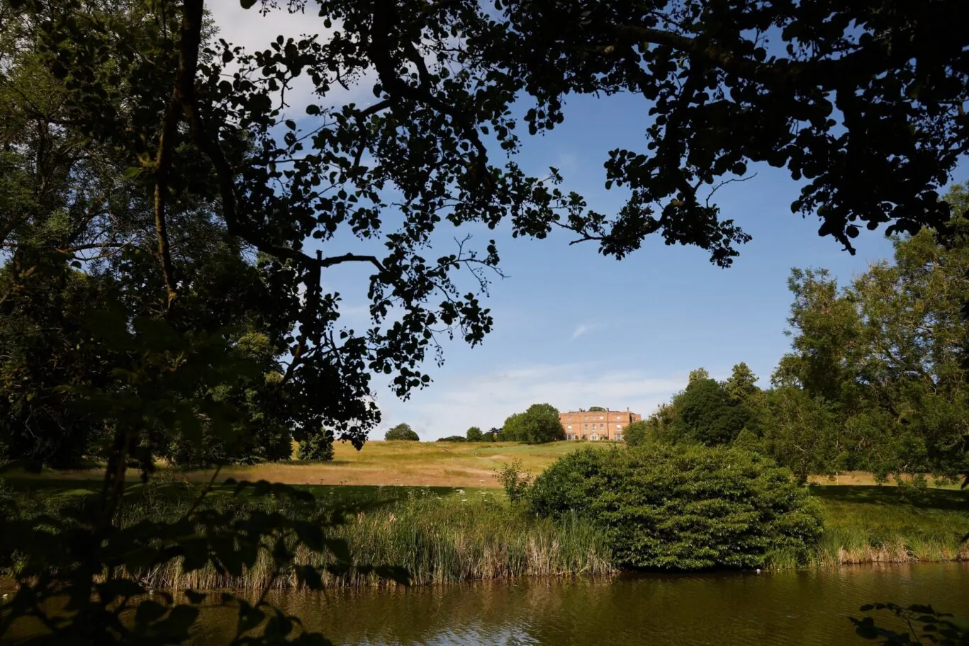 Grove with the canal in foreground