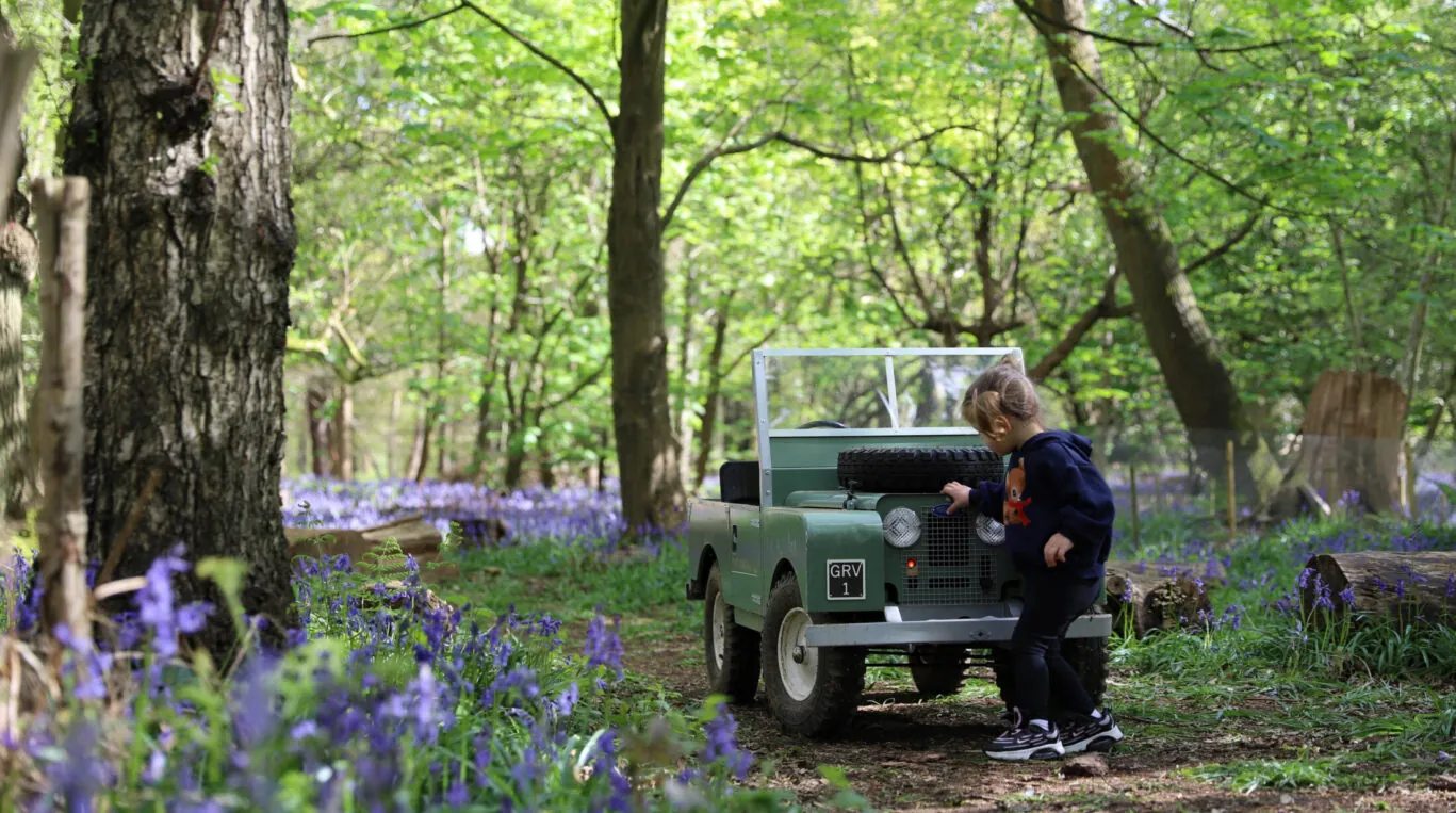 Mini Landies in the woodland