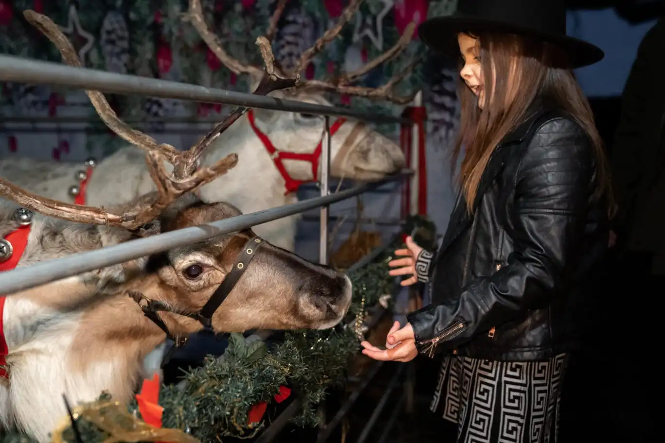 Christmas at The Grove