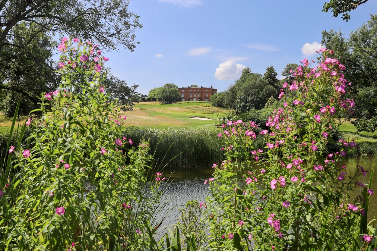 Summer Mansion - The Grove