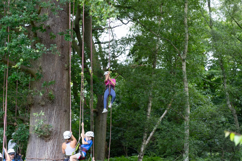 Tree Climbing
