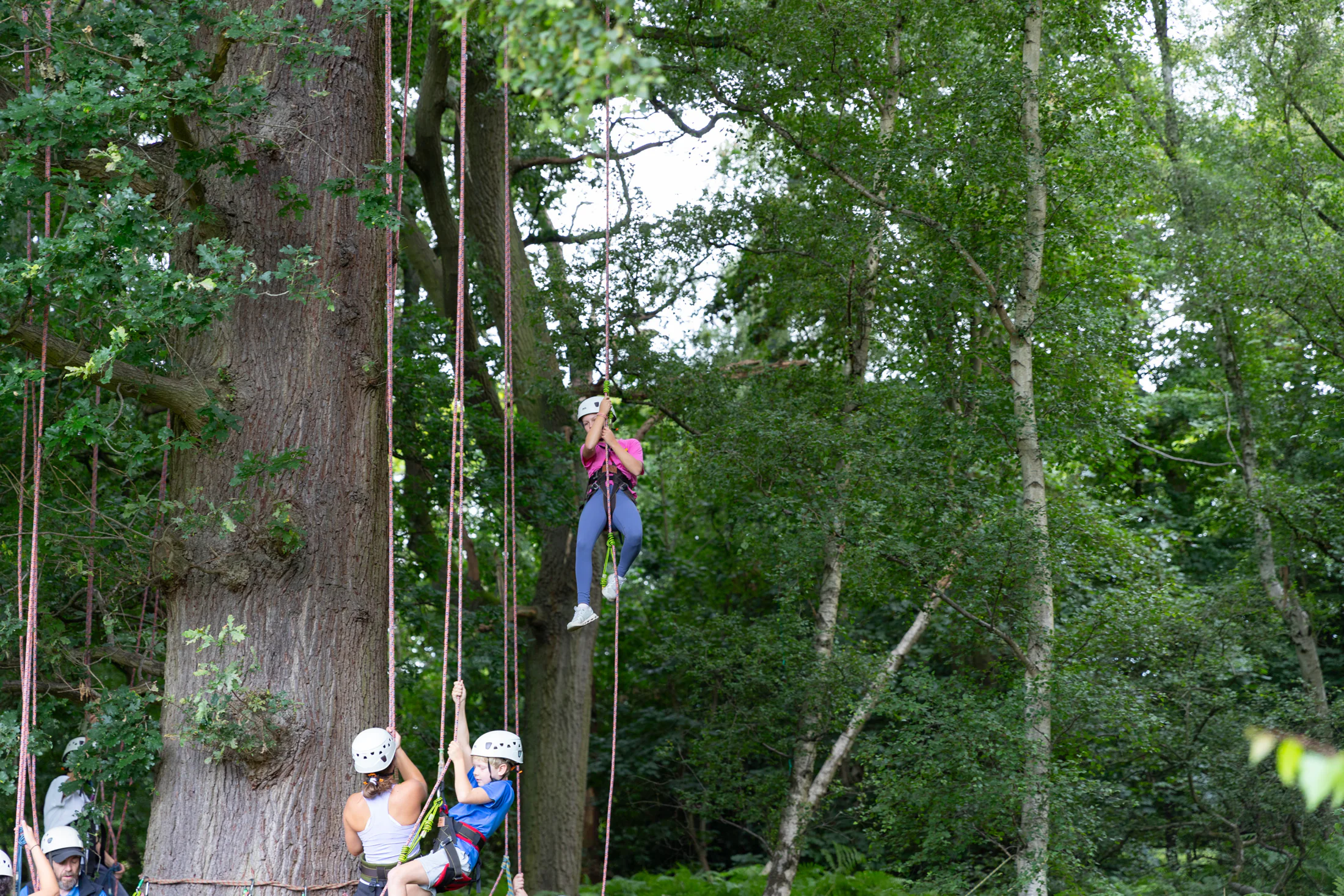 Tree Climbing