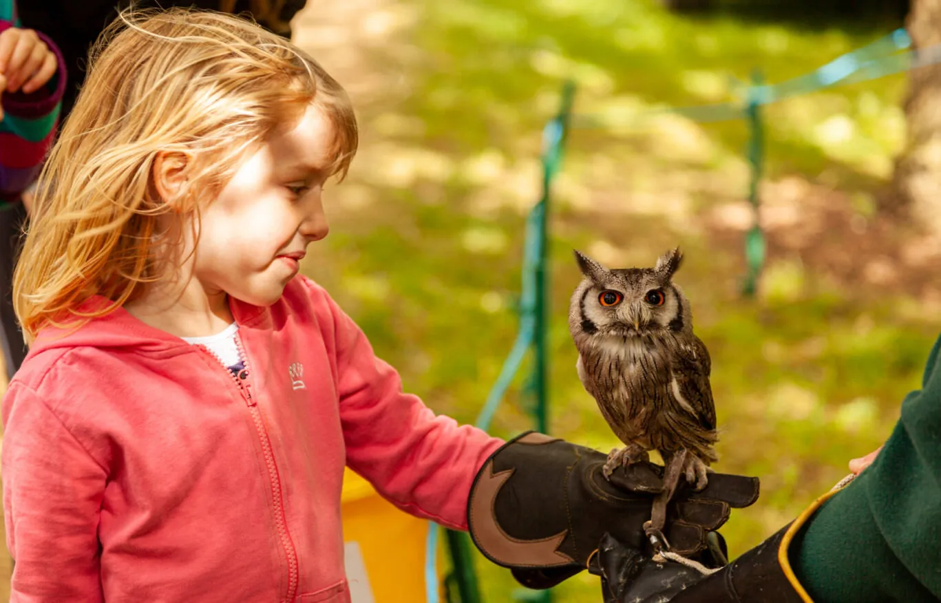 Girl handling small bird