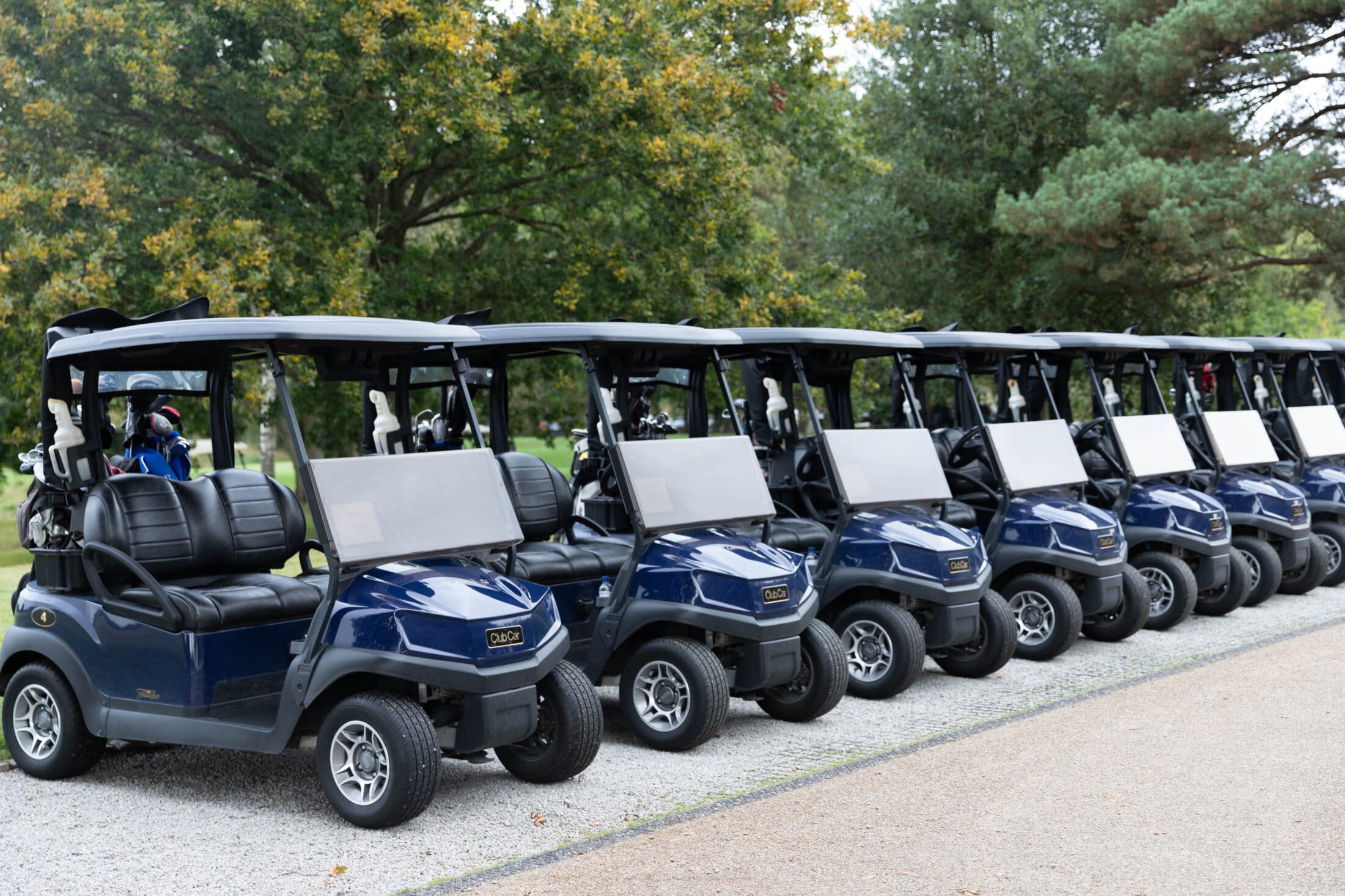 GolfBuggys