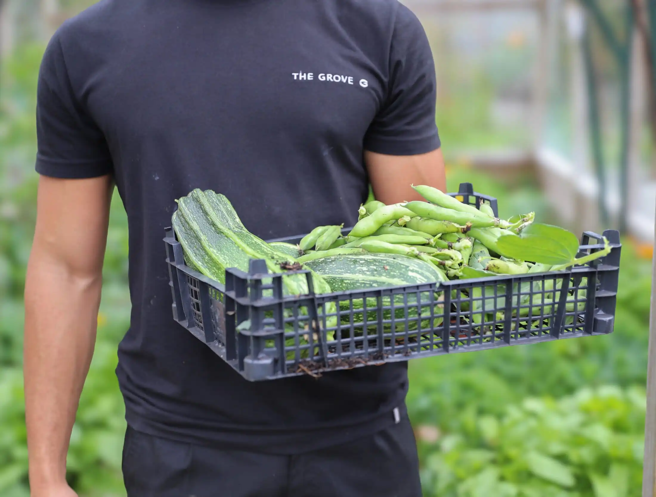 Jemima's Kitchen Garden fresh produce for The Stables