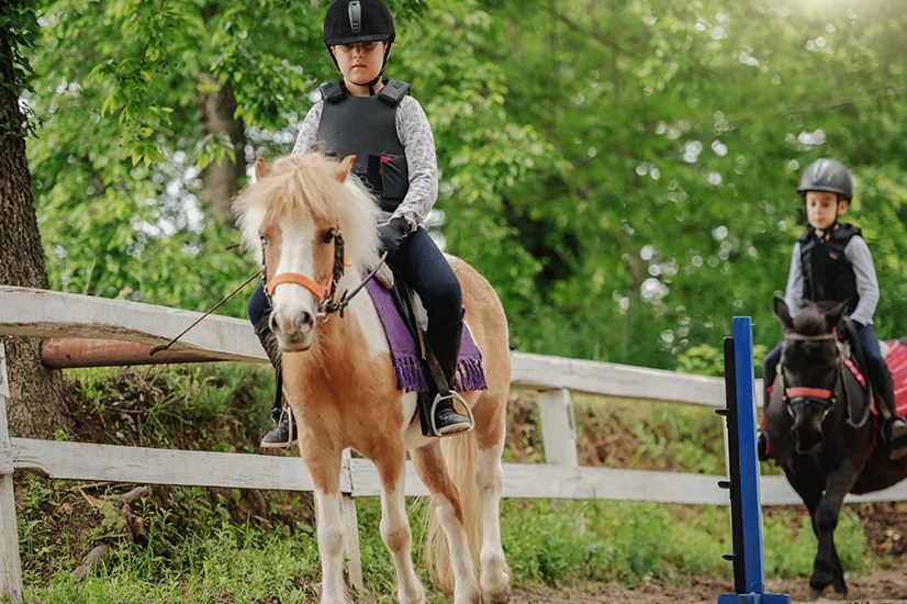 Pony Rides 2