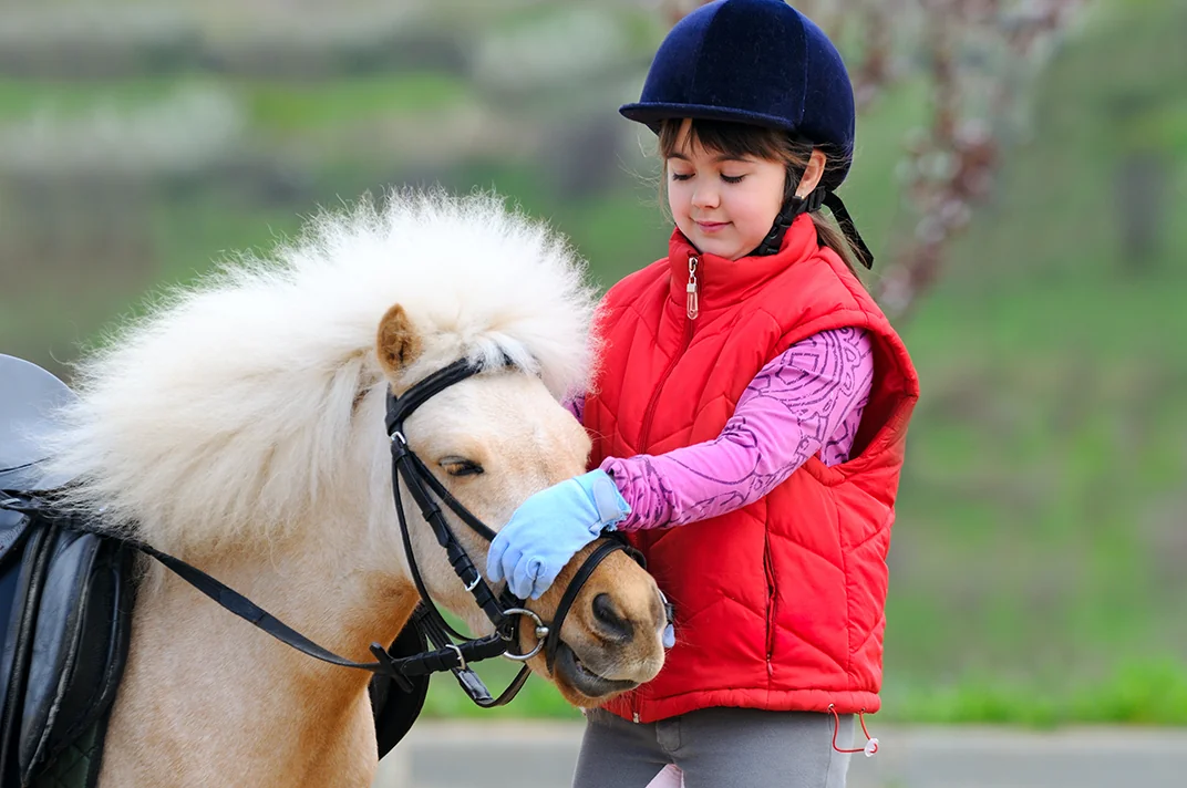 Pony Rides
