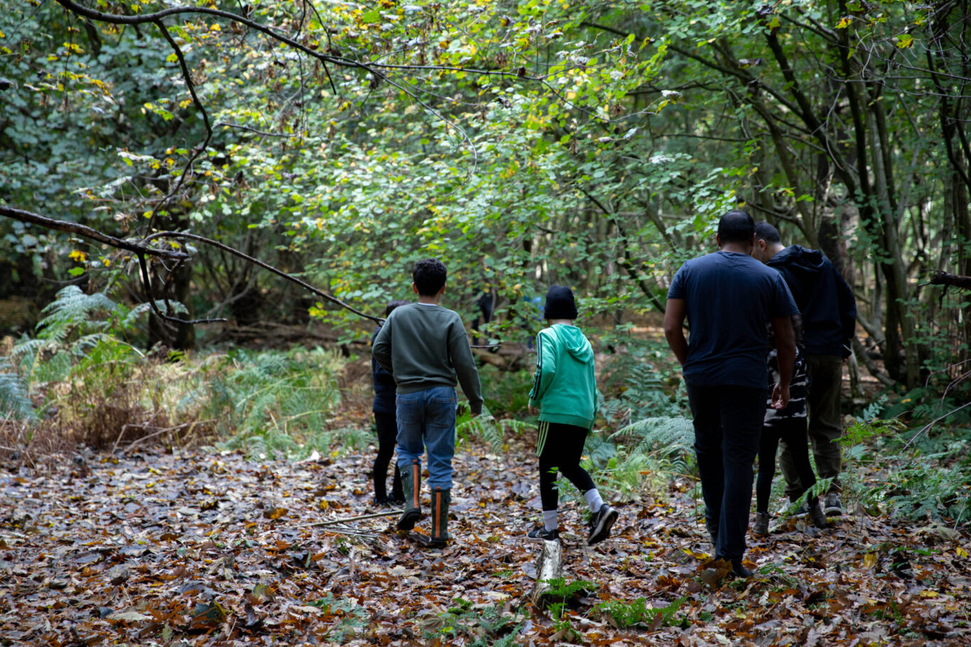 Forest Camps