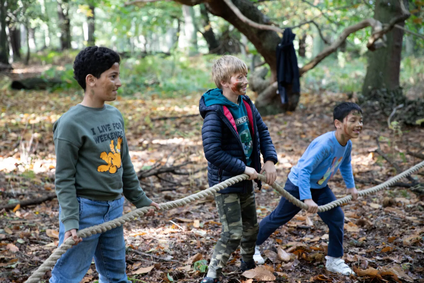 Forest Camps