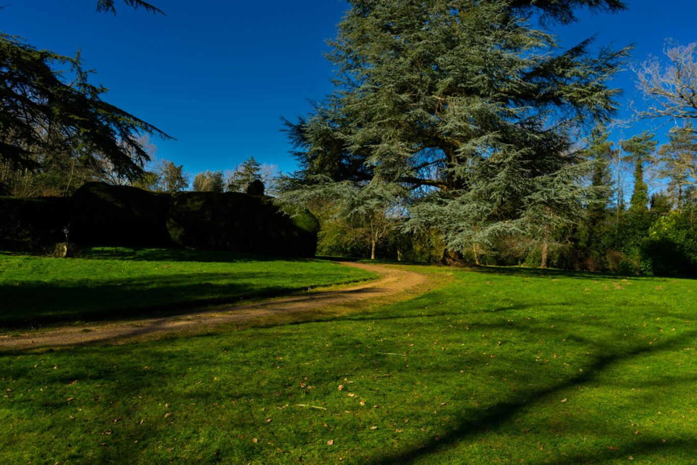 Park