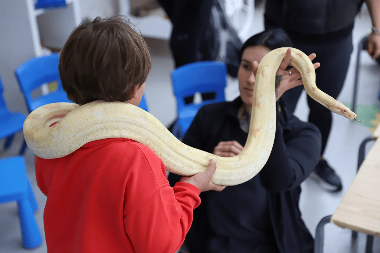 snake summer activity