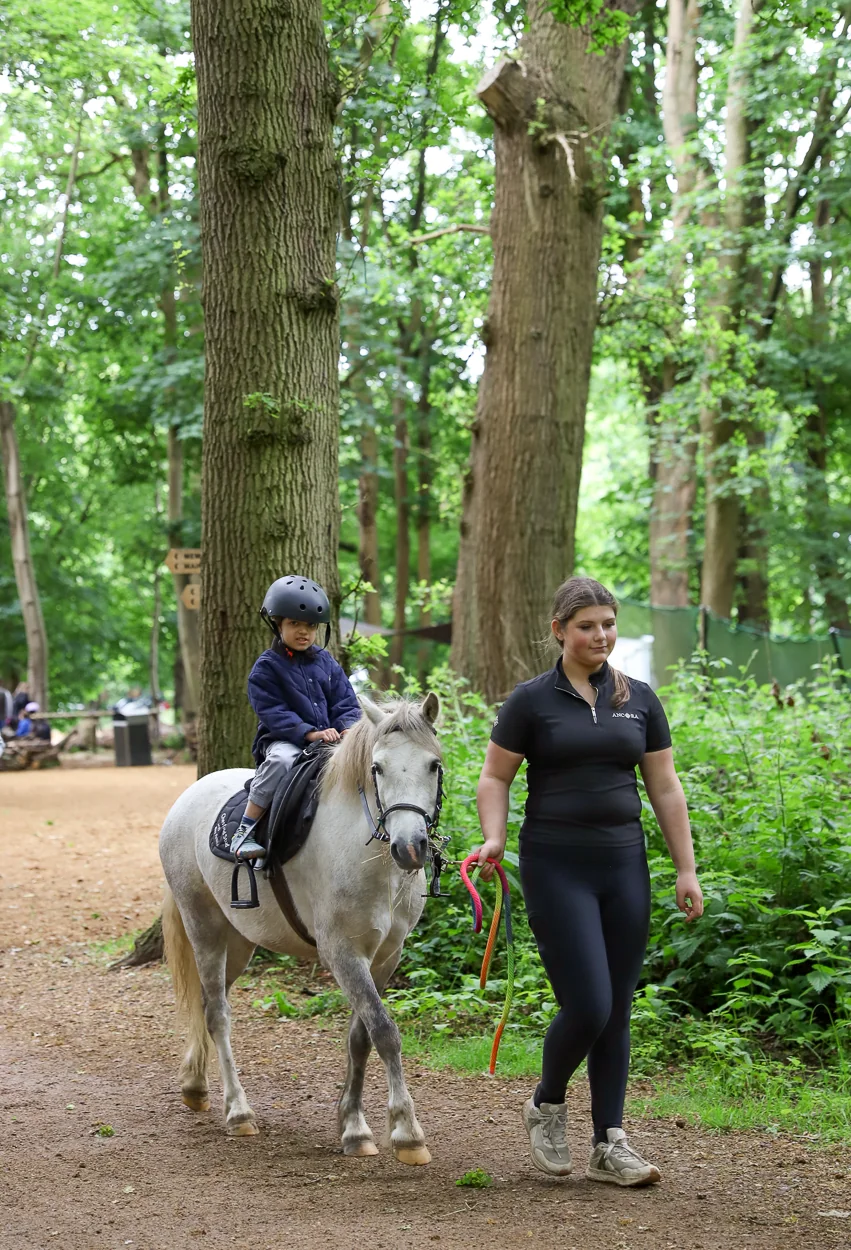 Pony rides