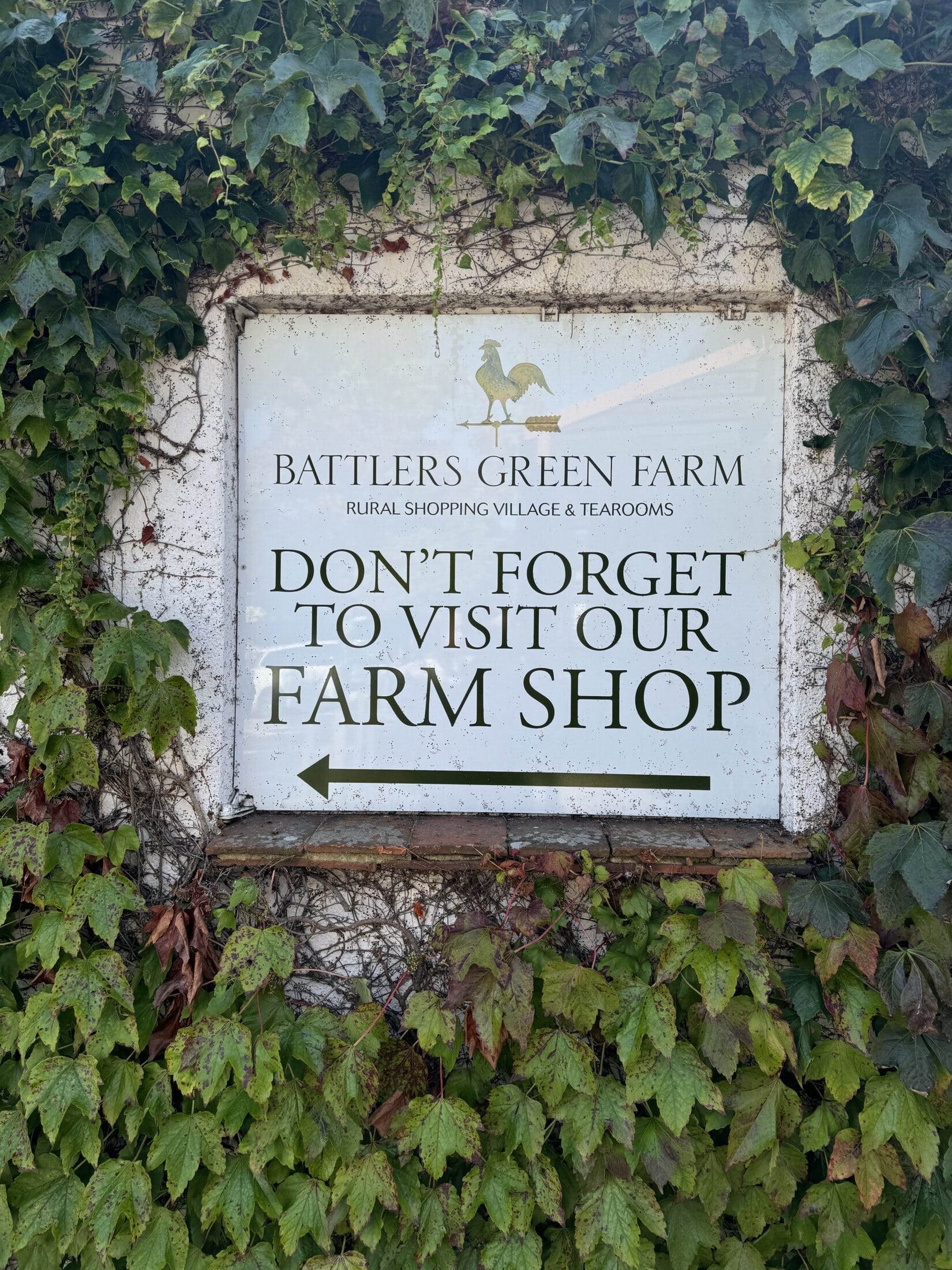 Farm shop
